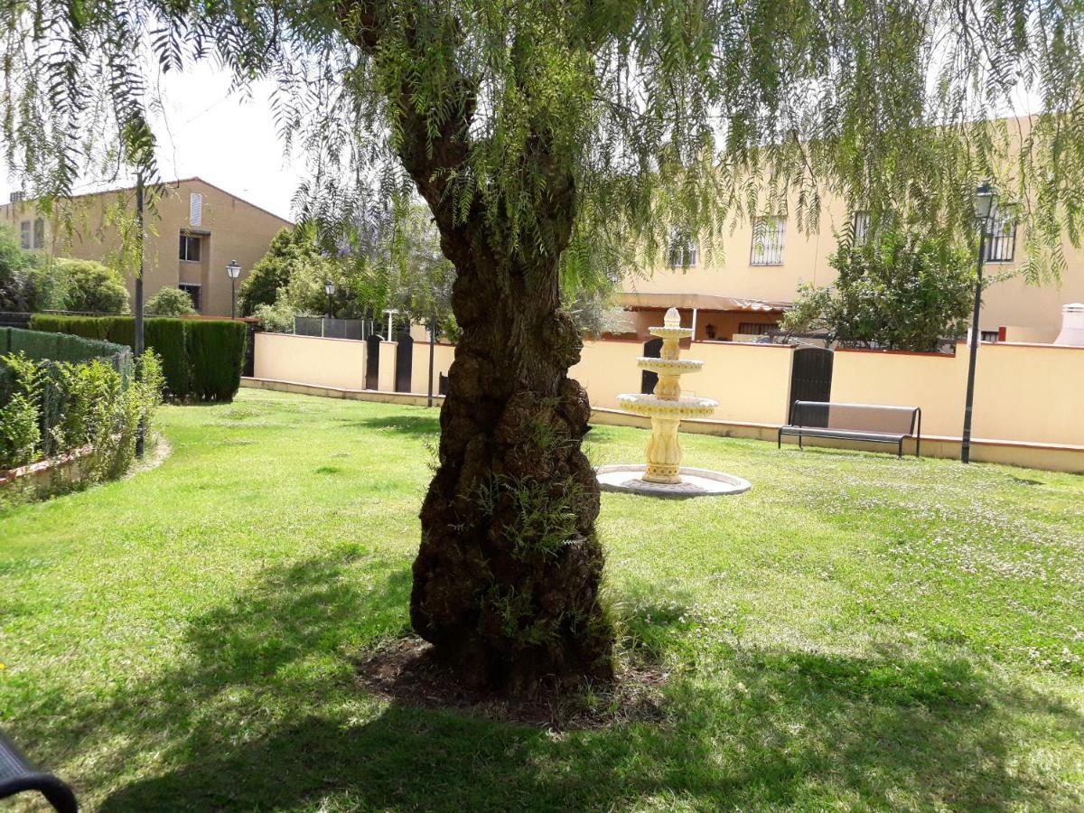Apartment Mairena Superior *